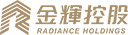 金辉控股